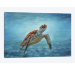 " Sea Turtle " - Image 4