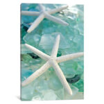 " Seaglass 1 " by Alan Blaustein - Image 3