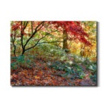 " Secret Garden " by J Paul - Image 5