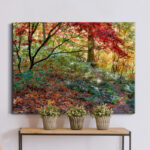 " Secret Garden " by J Paul
