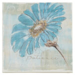 " Spa Daisies II " by Chris Paschke