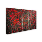 " The Hush Before Winter " by Philippe Sainte-Laudy