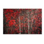 " The Hush Before Winter " by Philippe Sainte-Laudy - Image 2