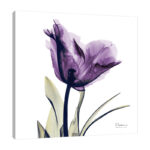 " Tulip Dream " - Image 5