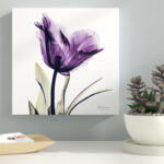 " Tulip Dream "