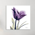 " Tulip Dream " - Image 2