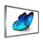 " Vibrant Blue Butterfly " - Image 2