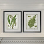 " Vintage Botanical Sketch VII " 2 - Pieces Painting Print - Image 2
