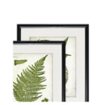 " Vintage Botanical Sketch VII " 2 - Pieces Painting Print - Image 3