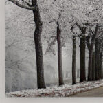 " Winter Curve " - Image 2