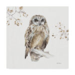 " Woodland Walk VIII Owl " by Lisa Audit - Image 7