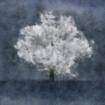 Absolutely One Framed in Blue/GrayBlue Gray White Tree Contemporary Modern' - Wrapped Canvas Graphic Art Print - Image 6