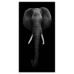 African Elephant portrait in black and white, Elephant wall art photograpy - Image 5