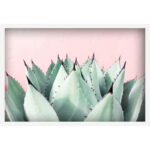 Abdirazaq " Sweet Succulents " by Morgan Hartley - Image 5