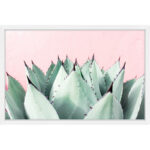 Abdirazaq " Sweet Succulents " by Morgan Hartley
