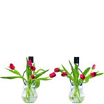 Almaguer Glass Wall Vase - Image 4