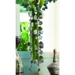 Bauhinia Bud Vase