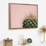 Bellville " Sylvie Cactus " by Emiko And Mark Franzen Of F2Images - Image 4