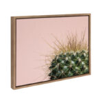 Bellville " Sylvie Cactus " by Emiko And Mark Franzen Of F2Images - Image 7