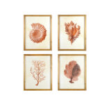 Bibbi Wood Framed Wall Art with Shells & Coral (Set of 4 Designs)