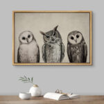 Bird " Variety Of Owl Portraits Vintage Antique Farmhouse Decor Nature Animals Modern Art Cozy Decor "