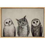 Bird " Variety Of Owl Portraits Vintage Antique Farmhouse Decor Nature Animals Modern Art Cozy Decor " - Image 2