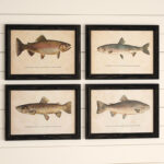Brier " Trout Prints Under " 4 - Pieces - Image 6