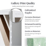 Calm Reflections by Studio Arts Meadow Birch Trees Canvas Art Print - Image 8