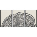 Duotone Black Wood Tree Ring Stump Neutral Decor Wall Art Framed On Canvas 3 Pieces Painting Print - Image 4