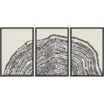 Duotone Black Wood Tree Ring Stump Neutral Decor Wall Art Framed On Canvas 3 Pieces Painting Print - Image 2