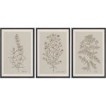 Duotone Vintage Flowers Neutral Floral Botanical Minimalist Framed Canvas 3 Pieces Print Wall Art - Image 6