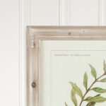 Evy " Olive Leaf Botanical " 4 - Pieces - Image 7