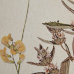 French Herbarium 2-piece Framed Canvas Wall Art Set - Image 3