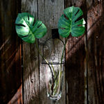 Glass Wall Vase