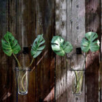 Glass Wall Vase - Image 7