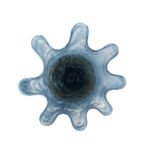 Gruber Handmade Glass Table Vase - Image 7