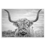 Highland Cow - Picture Frame Photograph Print on Canvas - Image 2