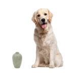 Izabelle Handmade Ceramic Table Vase - Image 3