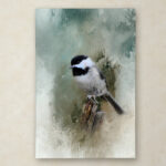Jai Johnson " Winter Chickadee " by Jai Johnson - Image 7