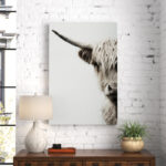 Jarne " Highland Cattle "
