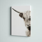 Jarne " Highland Cattle " - Image 2