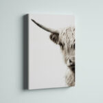 Jarne " Highland Cattle " - Image 4