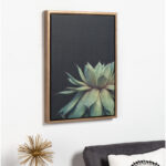 Jasera Succulent 8 by Emiko and Mark Franzen of F2Images Print on Canvas - Image 6