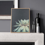 Jasera Succulent 8 by Emiko and Mark Franzen of F2Images Print on Canvas
