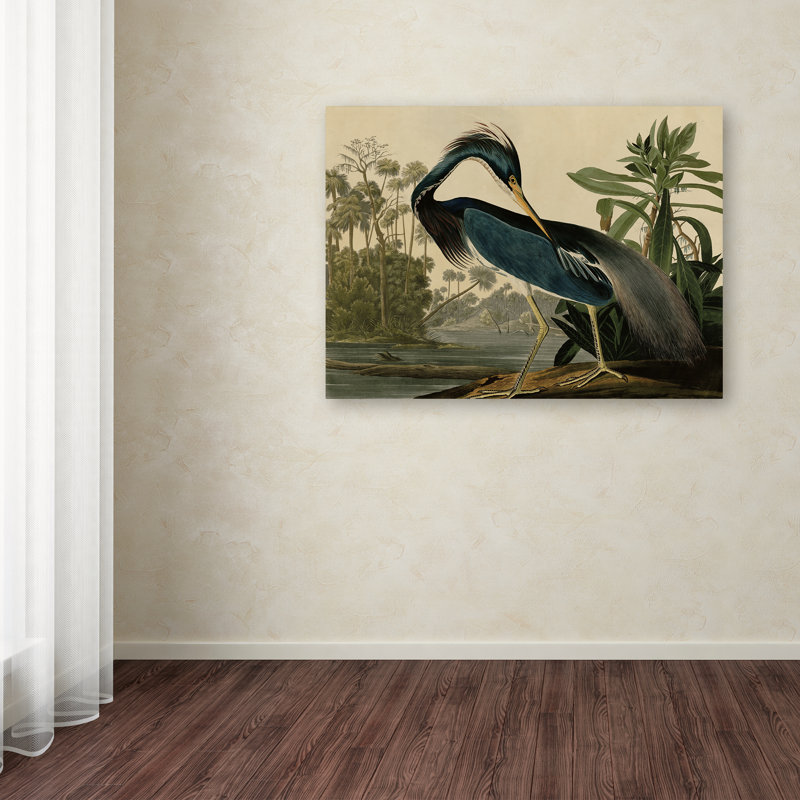 John James Audubon 'Louisiana Heron' Canvas Art - Image 2