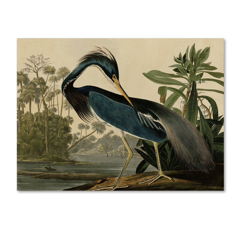 John James Audubon 'Louisiana Heron' Canvas Art - Image 6