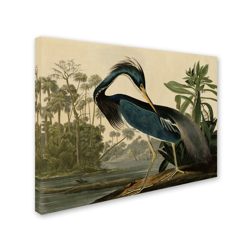 John James Audubon 'Louisiana Heron' Canvas Art - Image 7