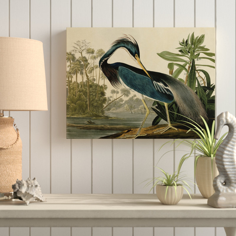 John James Audubon 'Louisiana Heron' Canvas Art