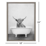 Karnecia Highland Cow in the Tub BW by Amy Peterson - Picture Frame Print on Glass - Image 4