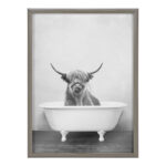 Karnecia Highland Cow in the Tub BW by Amy Peterson - Picture Frame Print on Glass - Image 5